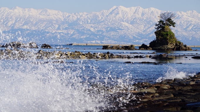 【楽天月末セール】贅沢プレミアムコース〇氷見の宿の心意気！富山の幸満喫♪2食付